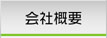 ЊTv
